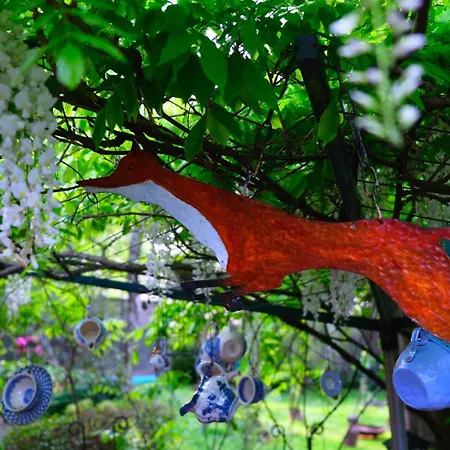 Bed & Breakfast Wonderland21 *