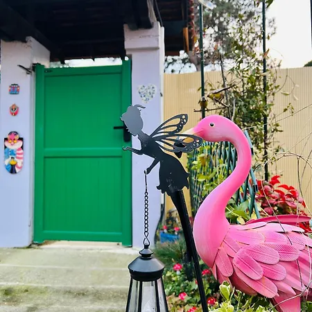 Bed & Breakfast Wonderland21